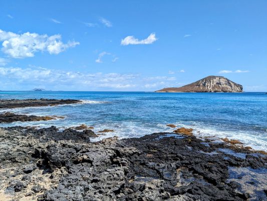 Makapuu Beach Park by null