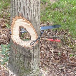 Allen's Lawn & Tree Service - i cut it all wrong.  as you can see i accidentally cut the hinge.