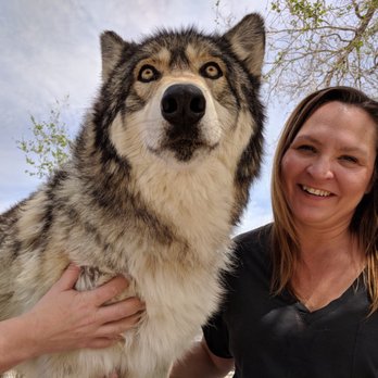 Wolf Mountain Sanctuary - Animal Shelters Near Me - Lucerne Valley, California Wolf Mountain Sanctuary - Animal Shelters Near Me - Lucerne Valley, California