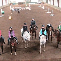 Horse Sence Training & Petting Zoo