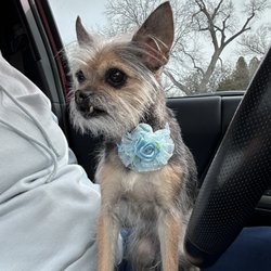 Miss Hazel.