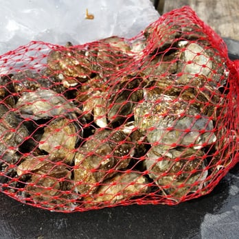 Hog Island Oyster - Bag of Kumamoto Oysters! - Seafood Near Me - Marshall, California