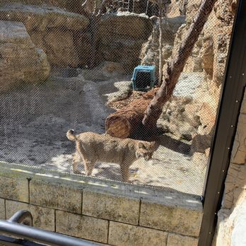 CuriOdyssey - Zoos Near Me - San Mateo, California