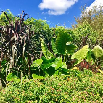 Memphis Botanic Garden - Botanical Gardens Near Me - Memphis, Tennessee