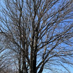 Calumet Park