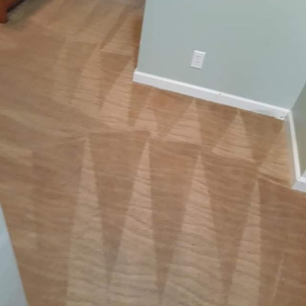 CARL’S CARPET CLEANING Updated May 2024 Pittsburg, California