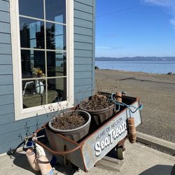 Nelson Crab