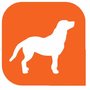 Photo of Hundetraining Daniela Bender