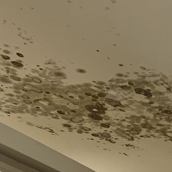 Kahuna - Closeup of moldy ceiling - Pan Asian Near Me - Newquay, CON