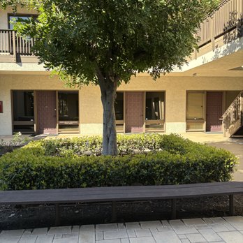 Alicia Chiropractic - Chiropractors Near Me - Laguna Hills, California Alicia Chiropractic - Chiropractors Near Me - Laguna Hills, California