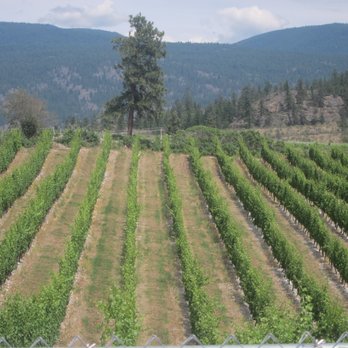 Blasted Church Vineyards - Wineries Near Me - Okanagan Falls, British Columbia Blasted Church Vineyards - Wineries Near Me - Okanagan Falls, British Columbia