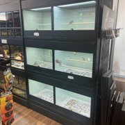 Photo of A to Z Pet Shop - Trumbull, CT, United States. Bird cages