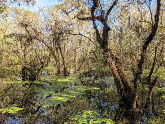 Kirby Storter Roadside Park by null