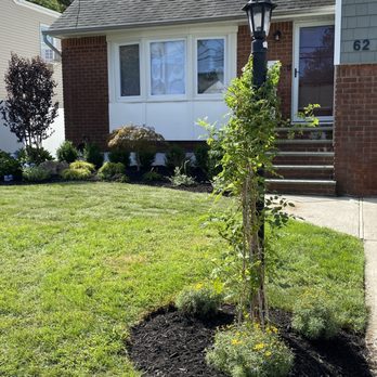 J & R Custom Landscaping - a small tree in the front yard - Landscaping Near Me - Westbury, New York J & R Custom Landscaping - a small tree in the front yard - Landscaping Near Me - Westbury, New York