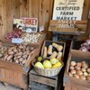 Ashley Farms gift card