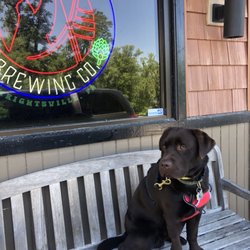 Hell In A Bucket Brewing Co.