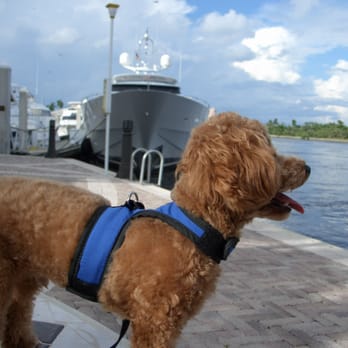 Johnson Ronald A, DVM, ND, PhD - Veterinarians Near Me - Fort Lauderdale, Florida Johnson Ronald A, DVM, ND, PhD - Veterinarians Near Me - Fort Lauderdale, Florida