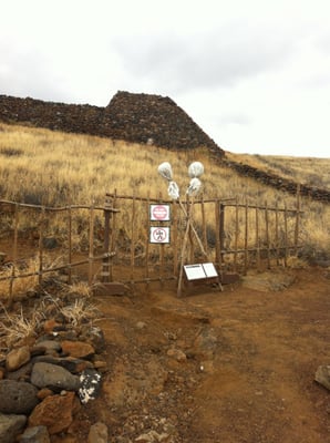 Puʻukoholā Heiau National Historic Site by null