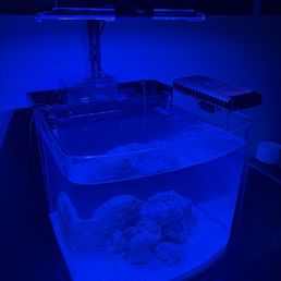 Saltwater fish tank I bought from them Saltwater fish tank I bought from them