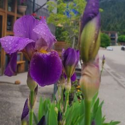 Outside Outside