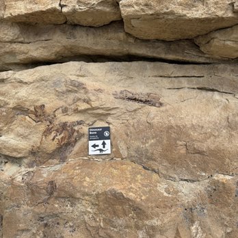 Dinosaur Ridge - Museums Near Me - Morrison, Colorado