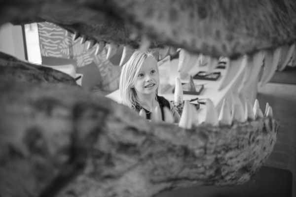 The Lawrence Hall of Science by null