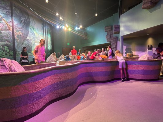 Mountain America Museum of Ancient Life at Thanksgiving Point by null