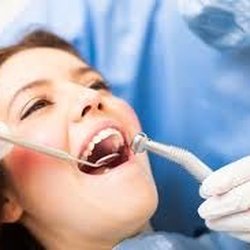 Mahine Mahajeri DDS MS