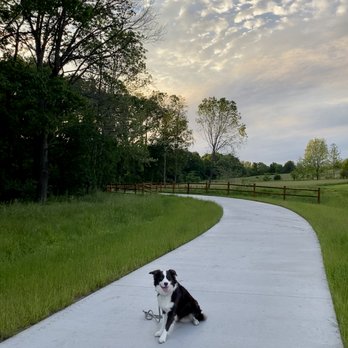 All Dogs Unleashed - Pet Training Near Me - Kansas City, Missouri All Dogs Unleashed - Pet Training Near Me - Kansas City, Missouri
