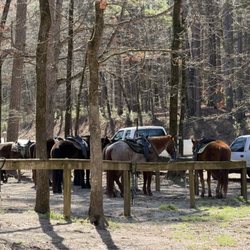 Arkansas Riding Stables