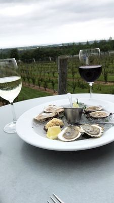 Luckett Vineyards by null