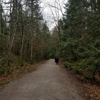 Whatcom Falls Park - Dog Parks Near Me - Bellingham, Washington
