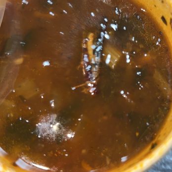 Salad and Go - Grasshopper in minestrone soup 6/15/2023 - Salad Near Me - Phoenix, Arizona