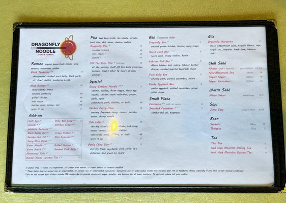 Dragonfly Noodle by null