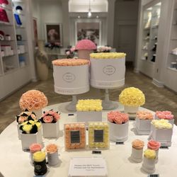 Venus ET Fleur - Peach, pink, and yellow roses