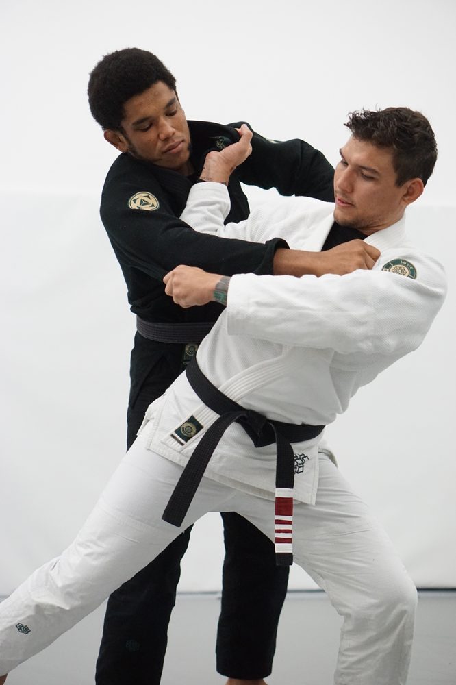 Logic Brazilian Jiu-Jitsu Pasadena Logo