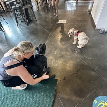 Bark Bar & Grille - Doggos! - Hot Dogs Near Me - Little Rock, Arkansas