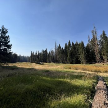 Quaking Aspen Campground - Campgrounds Near Me - Springville, California Quaking Aspen Campground - Campgrounds Near Me - Springville, California