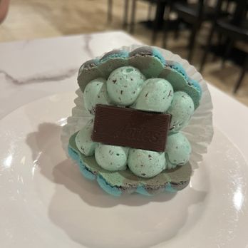 DimSum Terminal - Mint macaron - Dim Sum Near Me - Fort Lauderdale, Florida DimSum Terminal - Mint macaron - Dim Sum Near Me - Fort Lauderdale, Florida