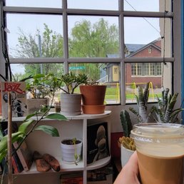 Cozy Corner with the Citrus Plant.