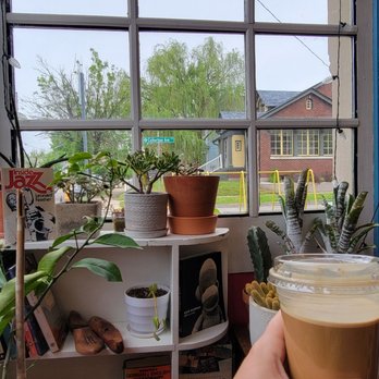 Mickey’s - Cozy Corner with the Citrus Plant. - Used Bookstore Near Me - New Albany, Indiana
