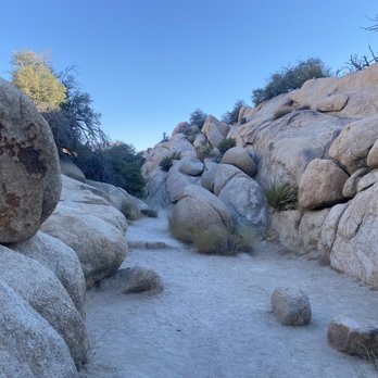 Barker Dam Trail - Hiking Near Me - Joshua Tree, California