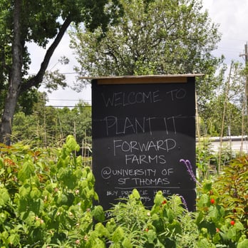 Plant It Forward  - The Montrose Farm, on Sul Ross St. at Yupon St., kitty-corner to Rothko Chapel. - Farmers Market Near Me - Houston, Texas