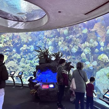 Shedd Aquarium - Aquariums Near Me - Chicago, Illinois Shedd Aquarium - Aquariums Near Me - Chicago, Illinois