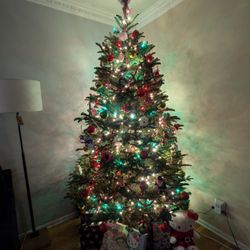 Noonan's Christmas Trees - 2024 Tree