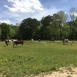 Little Creek Horse Farm and Park