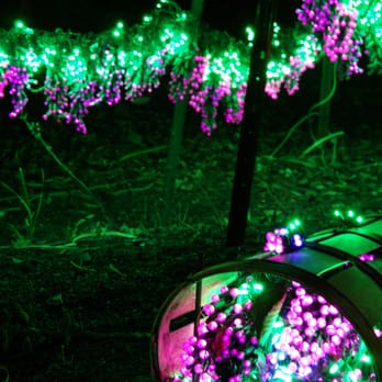 Garden D'Lights - Local Flavor Near Me - Bellevue, Washington Garden D'Lights - Local Flavor Near Me - Bellevue, Washington