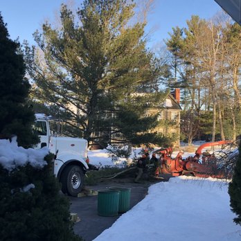 Cleds Tree Services - Tree Services Near Me - Halifax, Massachusetts