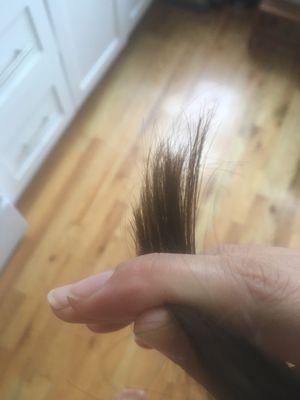 Cutler Brooklyn by null