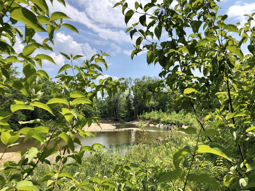 STARKEY NATURE PARK Updated June 2024 46 Photos & 17 Reviews 667